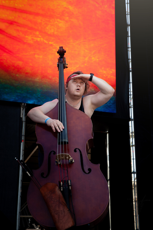 Steve`n`Seagulls